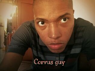 Corvus_guy