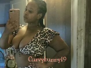 Curvybunny19