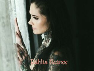 Dahlia_Noirxx