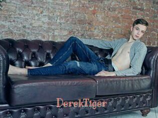 DerekTiger