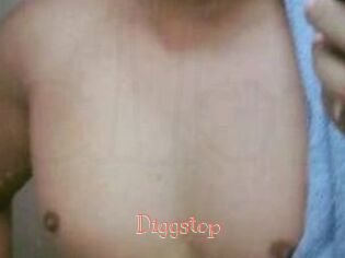 Diggstop