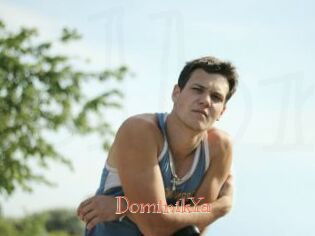 DominikYa