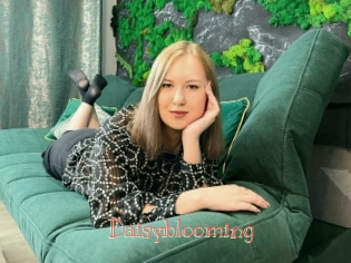 Daisyblooming
