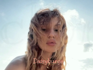 Daisyburge