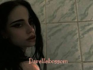 Darellebossom