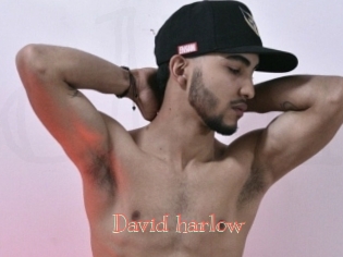 David_harlow