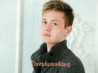 Davidniceking