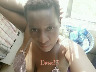Dew23