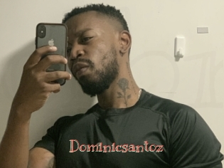 Dominicsantoz
