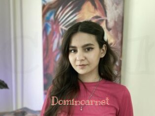 Dominoarnet