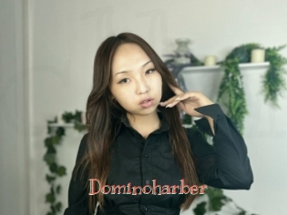Dominoharber