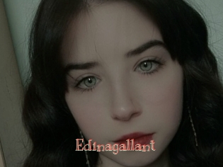 edinagallant Celebrix