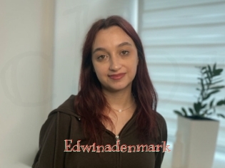 edwinadenmark Celebrix