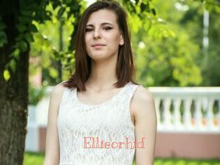 ellieorhid Celebrix