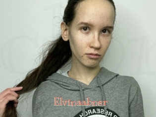 Elvinaabner
