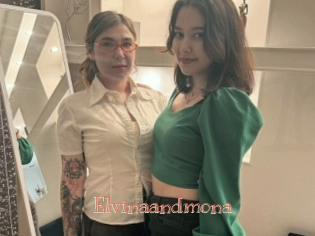 Elvinaandmona