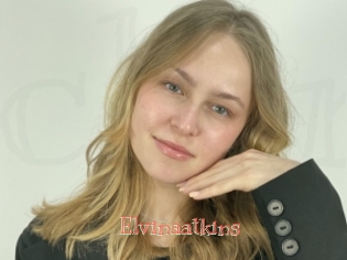 Elvinaatkins