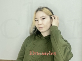 Elvinaaytes