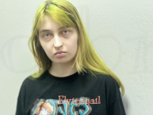 Elvinagail