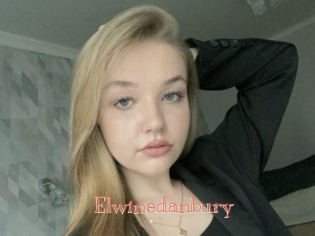 Elwinedanbury