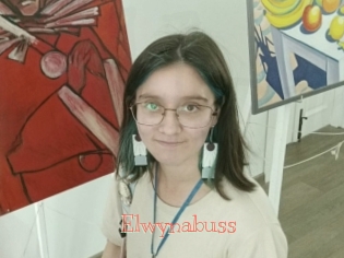Elwynabuss