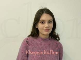 Elwynadudley