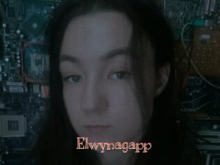Elwynagapp