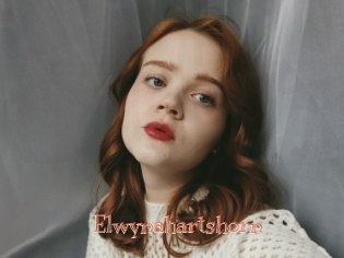 Elwynahartshorn