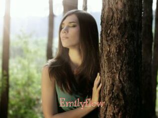 Emilyflow