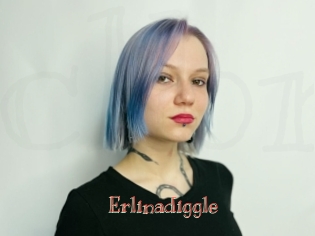 Erlinadiggle