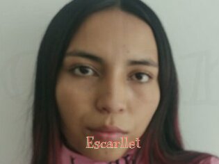 Escarllet