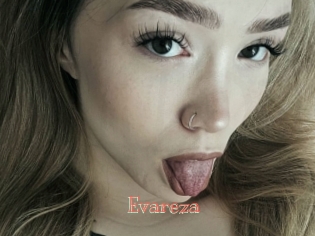 evareza Celebrix