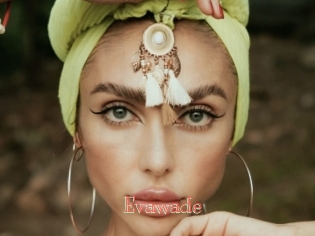 evawade Celebrix