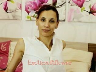 exoticsoftflower Celebrix
