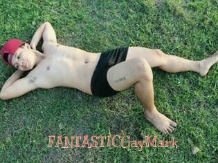FANTASTICGayMark