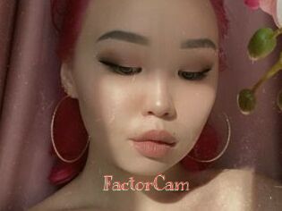 FactorCam