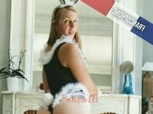 Feline18