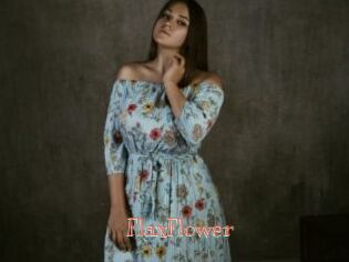 FlaxFlower
