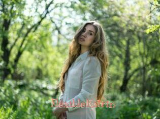 FlexibleKatrin