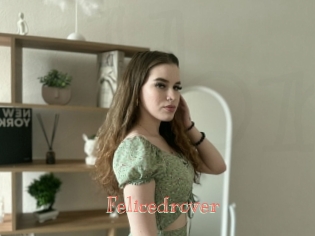 Felicedrover