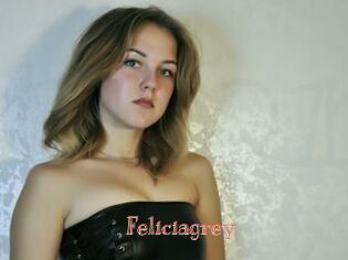 Feliciagrey