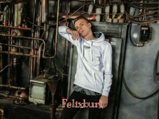 Felixburt