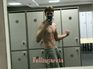 Fellixgarcia