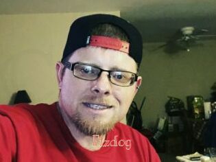 Fizdog