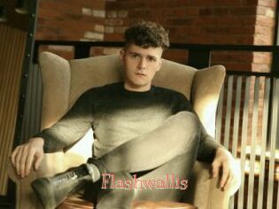 Flashwallis