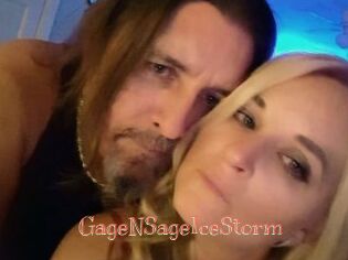 GageNSageIceStorm