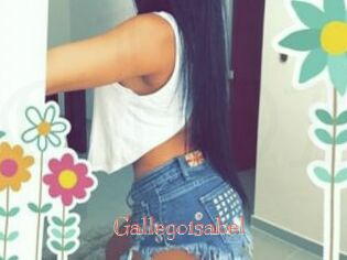 Gallegoisabel Celebrix