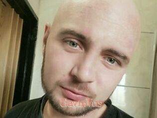 GavinVus