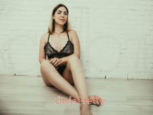 GedaPretty