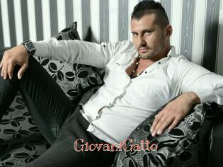 GiovaniGatto